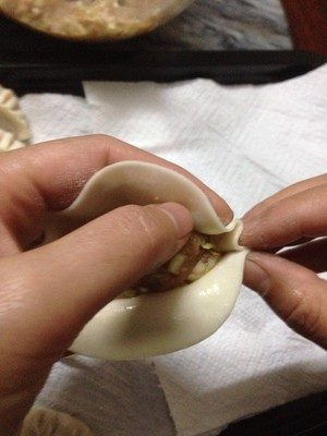Potstickers (Chinese Dumplings)