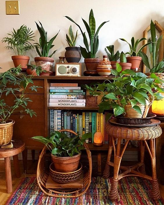 36 Ways to Create Your Own Plant Zoom